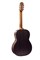 Newtone SCCLASCTNRW Soloist "Concert" Классическая гитара SCCLASCTNRW
