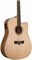 PEAVEY DW-2 CE Solid Top Cutaway w/Case - Гитара электроакустическая DW-2 CE Solid Top Cutaway w/Case