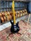 PEAVEY Raptor Custom BLK - Электрогитара Raptor Custom BLK