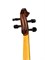 Strunal 160A-1/2 Siena Скрипка студенческая 1/2 160A-1/2