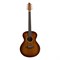 Covenant 160MNTE гитара трансакустическая с чехлом 160MNTE+
