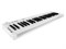 Axelvox KEY49j White MIDI клавиатура KEY49j White