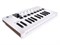 Arturia MiniLAB 3 MIDI клавиатура MiniLAB 3-1
