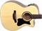 CRAFTER HT-100 CE/OP.N - Гитара электроакустическая HT-100CE/OP.N