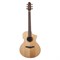 Covenant 175CNTE гитара трансакустическая с чехлом 175CNTE