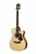 Maton EBG808C-TE Электроакустическая гитара EBG808C-TE