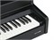 Aurora AU110-BK Цифровое пианино, черное AU110-BK