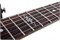 Schecter SGR 006 BLK Элетрогитара SGR 006 BLK (3810)