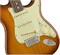 FENDER American Performer Stratocaster RW HONEY BURST Электрогитара American Performer Stratocaster RW HONEY BURST
