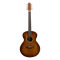 Covenant 160M гитара акустическая с чехлом 160-1