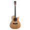 Meridaextrema Autumn гитара акустическая с чехлом Autumn