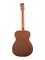 Parkwood S22-GT Акустическая гитара, с чехлом, глянец S22-GT