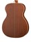 Parkwood S22-GT Акустическая гитара, с чехлом, глянец S22-GT