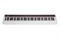 NUX NPK-10-WH Цифровое пианино, белое NPK-10-WH