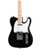 Homage HEG350BK Электрогитара Telecaster SS HEG350BK