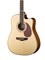 Naranda DG403CEN Акустическая гитара со звукоснимателем, с вырезом DG403CEN