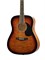 Homage LF-4110T Акустическая гитара LF-4110T